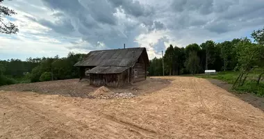 House in Kamienski sielski Saviet, Belarus