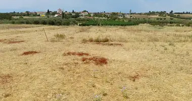 Plot of land in Agios Pavlos, Greece