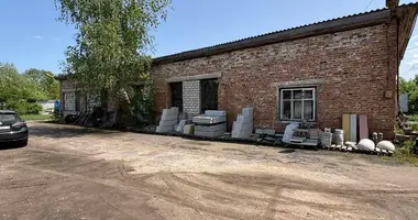 Nieruchomości komercyjne 189 m² w Miory, Białoruś