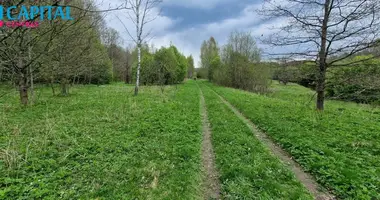 Grundstück in Godlaukis, Litauen