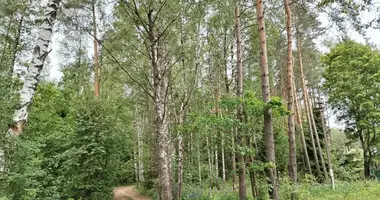 Grundstück in Zdanovicki sielski Saviet, Weißrussland