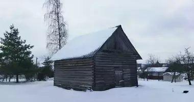 Dom w Piatryskauski sielski Saviet, Białoruś