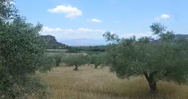 Участок земли в Nfplio, Греция