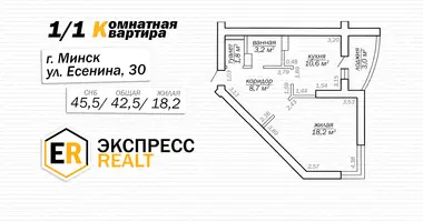 Wohnung 1 zimmer in Minsk, Belarus