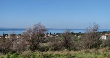 Plot of land in Nikiti, Greece