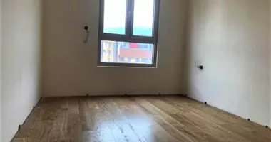 4 bedroom apartment in Montenegro