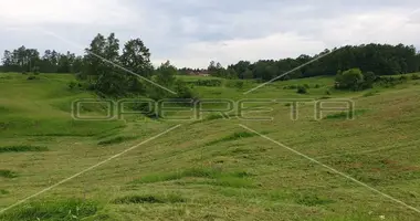 Plot of land in Krnjak, Croatia