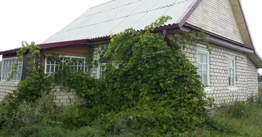 House in Saskouski sielski Saviet, Belarus