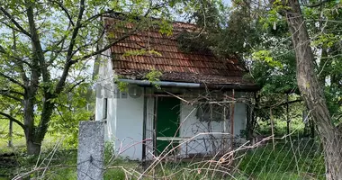 House in Gyoemro, Hungary