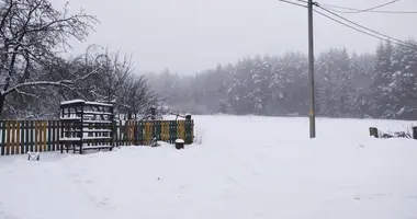 Участок земли в Заболотский сельский Совет, Беларусь