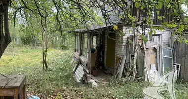 House in Matykalski sielski Saviet, Belarus