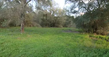 Terrain dans Perithia, Grèce