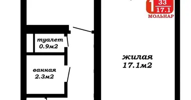 Wohnung 1 zimmer in Minsk, Belarus
