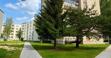 Apartamento 2 habitaciones en Druskininkai, Lituania