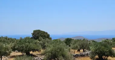 Участок земли в Municipality of Agios Nikolaos, Греция