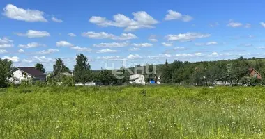 Plot of land in Novolikeevskiy selsovet, Russia