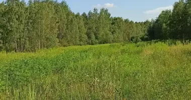 Plot of land in Otwock, Poland