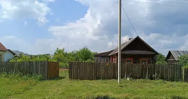 House in Lyubonichi, Belarus