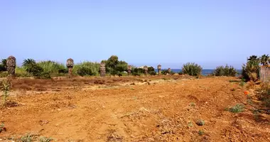 Plot of land in Skaleta, Greece