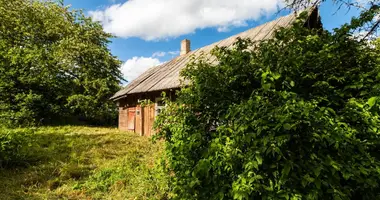 House in Darzininkai, Lithuania