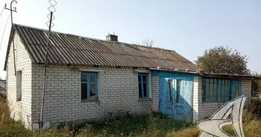 House in cerninski sielski Saviet, Belarus