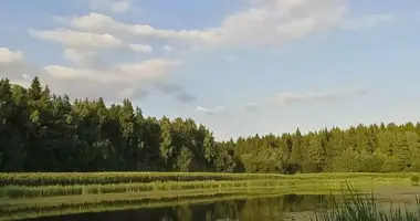 Plot of land in Stankauski sielski Saviet, Belarus