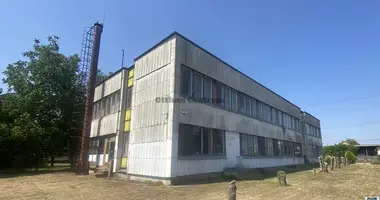 Commercial property 760 m² in Hajduszoboszlo, Hungary