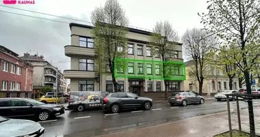 Apartamento 1 habitación en Kaunas, Lituania