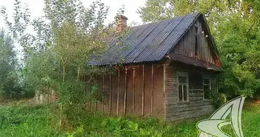 Maison dans Doubizna, Biélorussie
