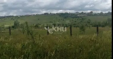 Plot of land in Bogorodsky District, Russia