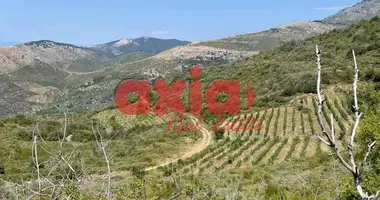 Propriété commerciale 25 000 m² dans Skala Sotiros, Grèce