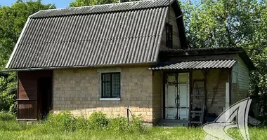 Dom w Matykalski sielski Saviet, Białoruś