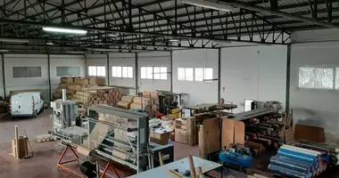 Warehouse 1 300 m² in Crevillent, Spain