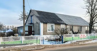 Duplex 3 bedrooms in Narach, Belarus