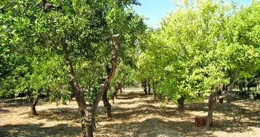 Plot of land in Grain, Greece