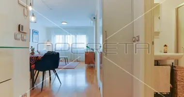 2 room apartment in Zagreb, Croatia