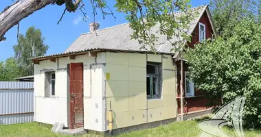 House in Znamienski sielski Saviet, Belarus