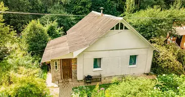 House in Kalodziscanski sielski Saviet, Belarus