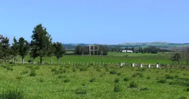 Grundstück in Punta Ballena, Uruguay