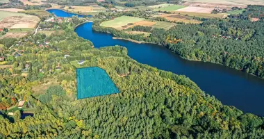 Terrain dans Nienawiszcz, Pologne