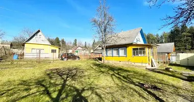 House in Rakauski sielski Saviet, Belarus