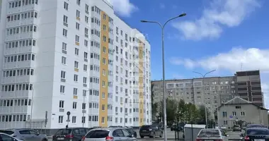 Apartment in Nizhny Novgorod, Russia