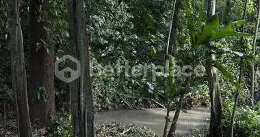 Terrain dans Tumbak Bayuh, Indonésie