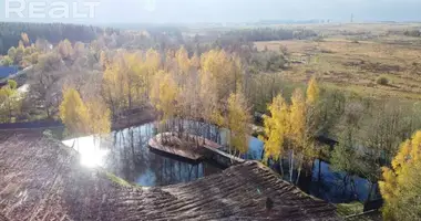 Plot of land in Niemanicki sielski Saviet, Belarus