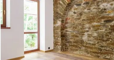 Studio apartment 1 bedroom in Jachymov, Czech Republic