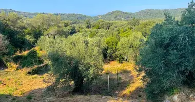 Terrain dans Agios Ioannis, Grèce