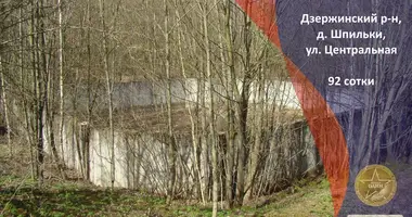 Plot of land in Dzamidavicki selski Savet, Belarus