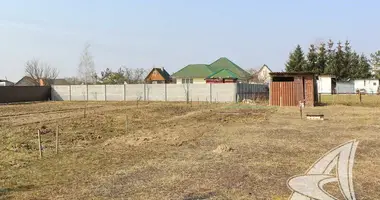 Grundstück in Zabinkauski sielski Saviet, Weißrussland