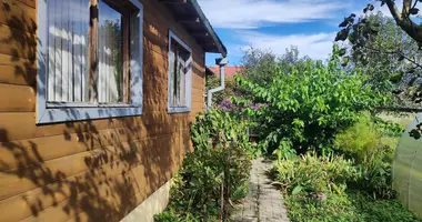 House in Zabalocki sielski Saviet, Belarus