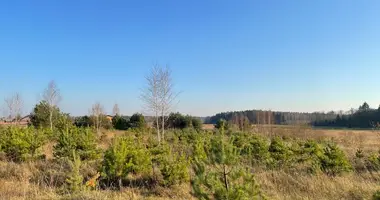 Parcela en Dedoniskes, Lituania
